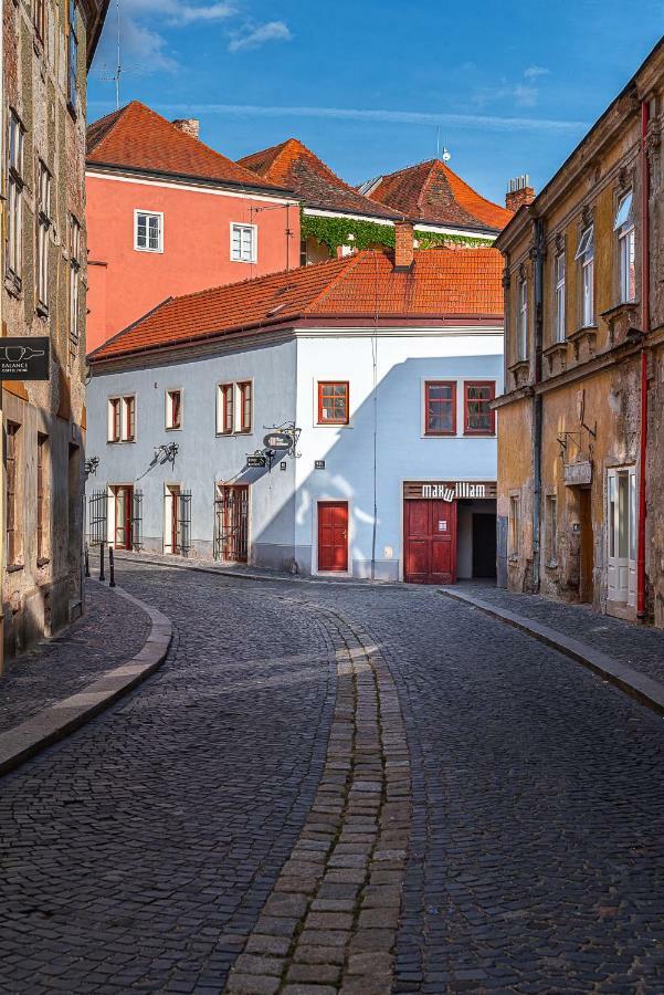 Penzion Maxwilliam Znojmo Exterior foto